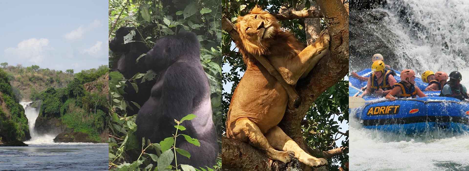14 Days Uganda Safari