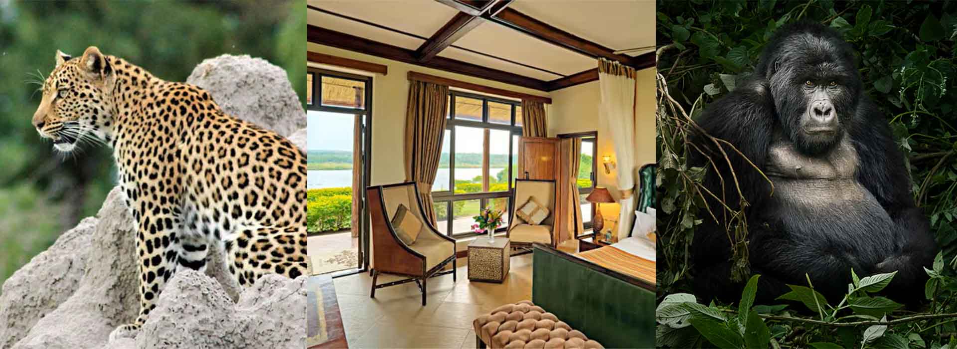 7 Days Luxury Safari Uganda