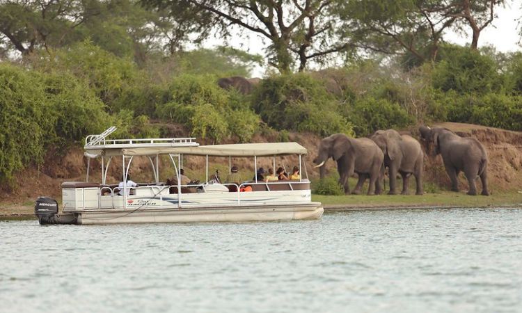 Launch cruise at Queen Elizabeth National Park