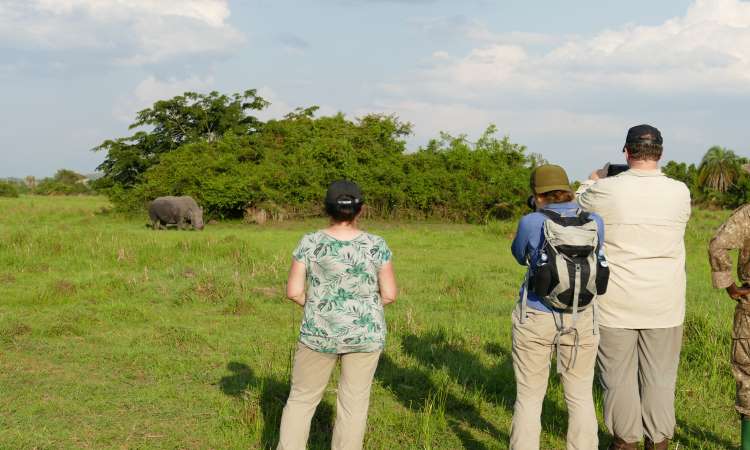 Ziwa Rhino Tracking Tour