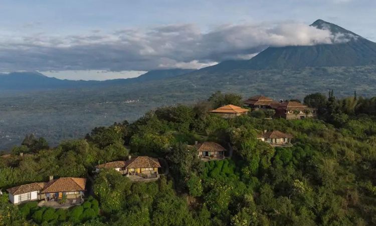Luxury lodge for gorilla trekking