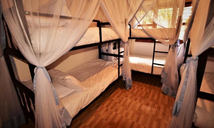 Family Rooms Dormitories Elementis Guest House