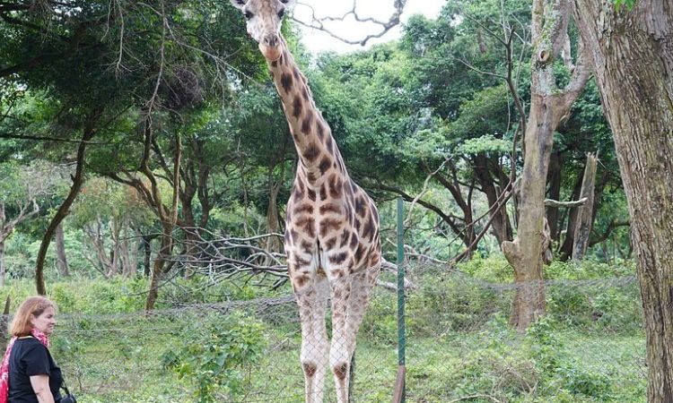 Entebbe Zoo Location