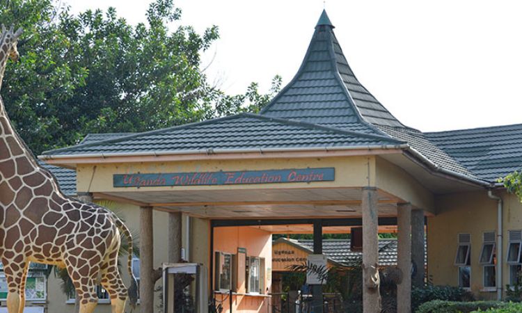Entebbe Zoo