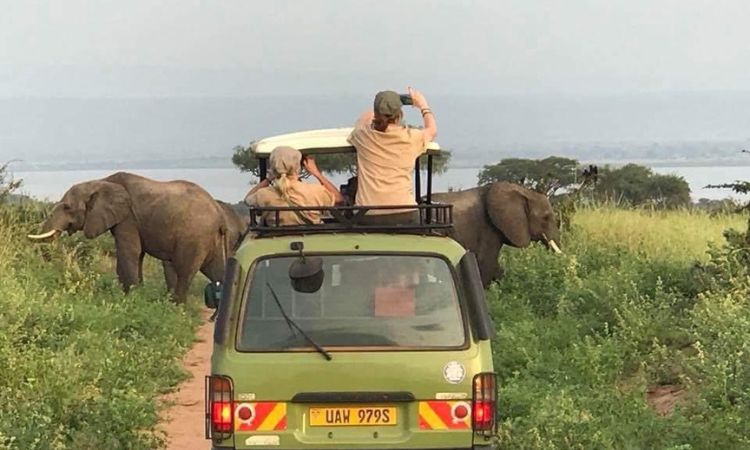 How Much Is a Game Drive in Murchison Falls