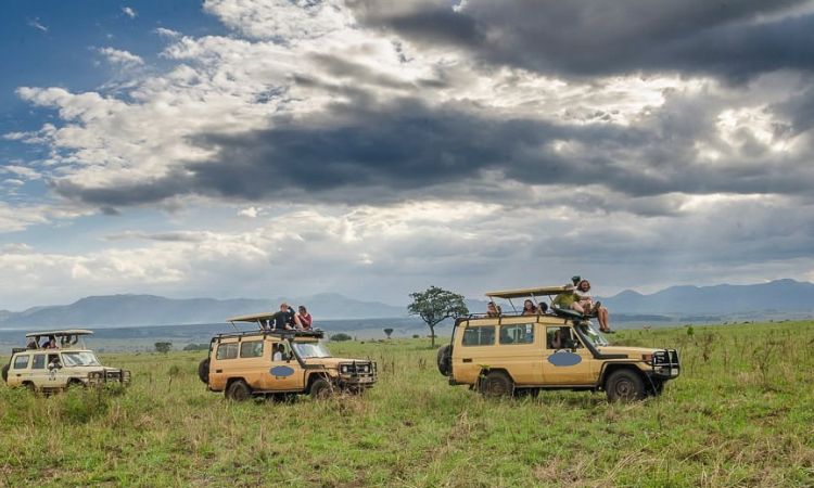How Much Is a Game Drive in Murchison Falls