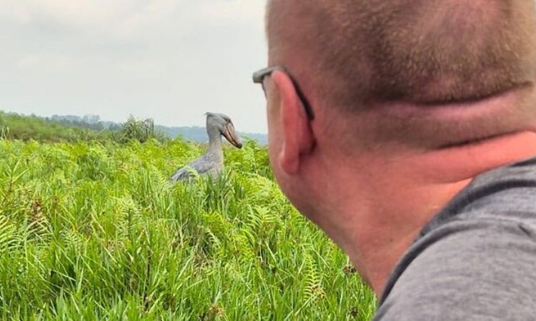 Things to Do in Entebbe