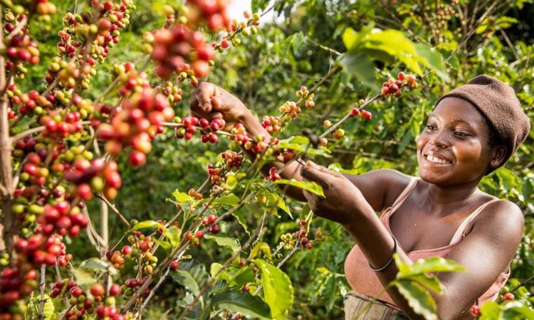 Is Uganda a rich or poor country