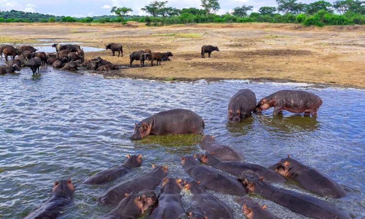 major rivers in uganda
