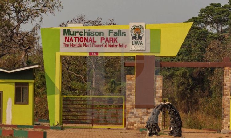 Murchison Falls National Park