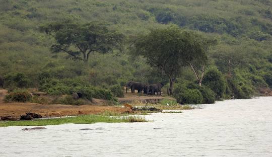 Kazinga Channel