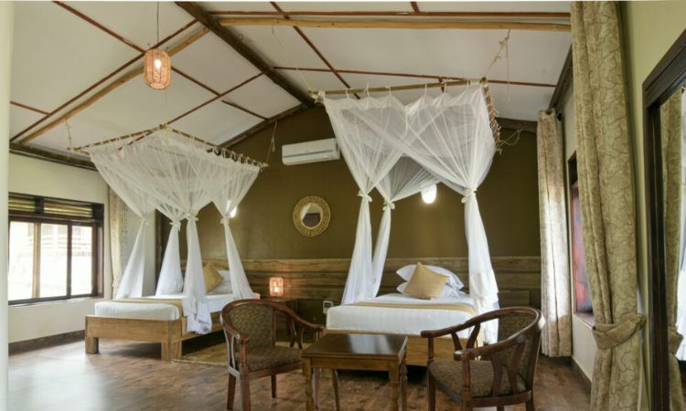where is pakuba safari lodge located