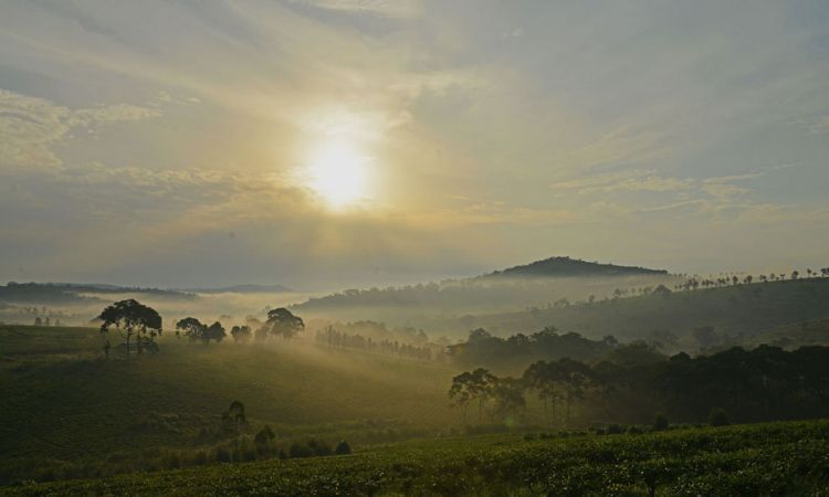 Uganda Weather