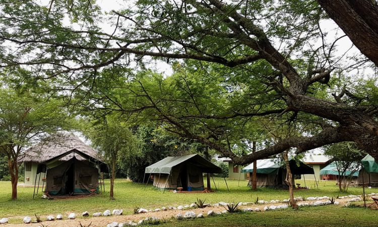 Red Chilli Rest Camp