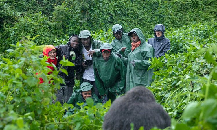 What Happens If It Rains During Gorilla Trekking